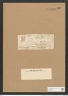 Berkeleya ehrenbergii (Kuetz). Grun. (de-Toni-Nr.: Genus 21, Species 1225) Zeichnungen Sammlung Grunow Nr. 2365 (NHMW-BOT-W0369499)